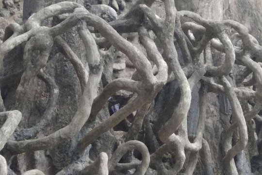 Tour image 6